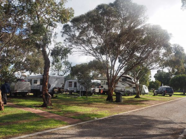 Murray Bridge Marina Camping And Caravan Park - Accommodation Gold Coast