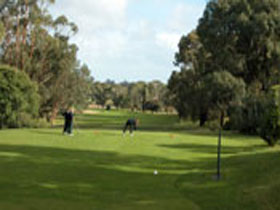 Mount Gambier Golf Club - Accommodation Gold Coast